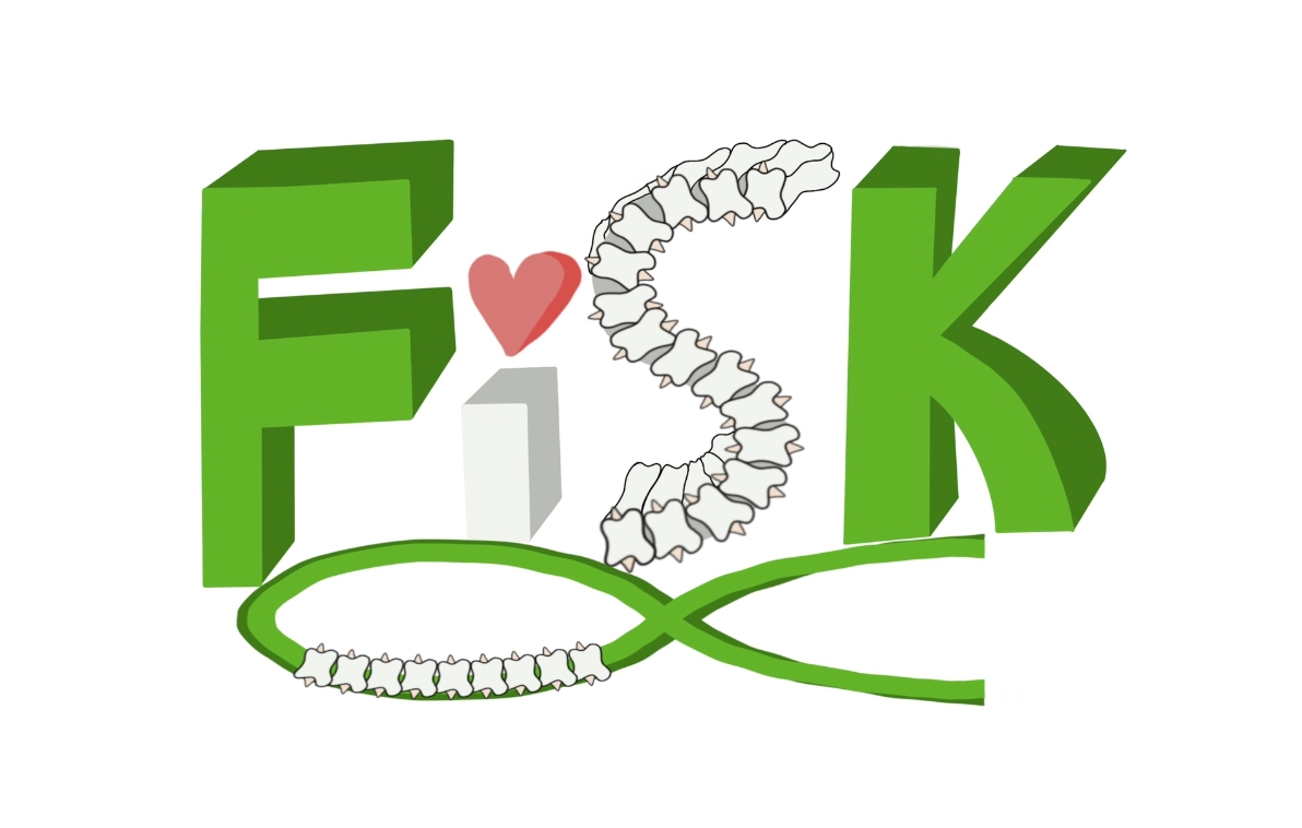 The Finding Scoliosis Kindly (FiSK) Project